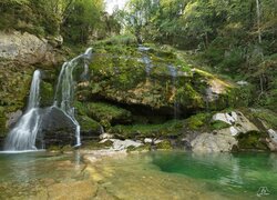 Leśny wodospad Virje spływający po omszałych skałach w Słowenii