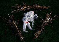 Astronauta, Skafander, Trawa, Gałęzie, Grafika 2D