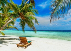 Leżak na plaży pod palmami