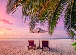 Leżaki i parasol pod palmą na plaży