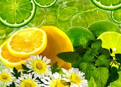 Limonka i cytryna udekorowane kwiatami i miętą