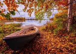 Łódka nad brzegiem jeziora jesienną porą