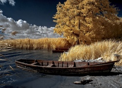 Łódka przy brzegu jeziora pośród jesiennych drzew i traw