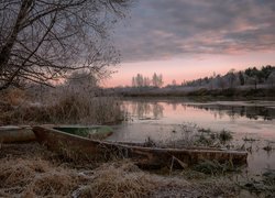 Łódki pod drzewem w oszronionych szuwarach nad rzeką Dubna