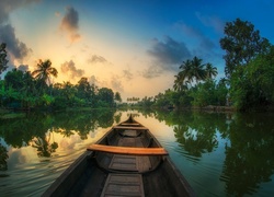 Indie, Rozlewiska Kerali, Łódka, Rzeka, Dżungla