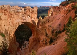 Skały, Drzewa, Łuk Natural Bridge, Kanion, Bryce Canyon, Park Narodowy Bryce Canyon, Utah, Stany Zjednoczone
