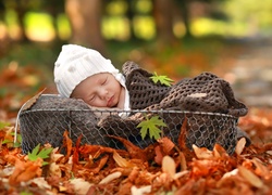 Małe dziecko usnęło w koszyku stojącym na jesiennych liściach
