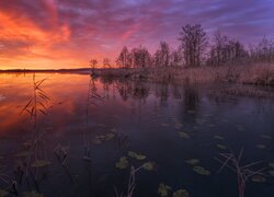 Malownicze niebo zachodzącego słońca nad jeziorem