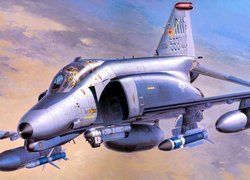 Samolot, McDonnell Douglas F-4G Phantom II, Wild Weasel