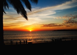 Zachód słońca, Palmy, Morze, Riwiera Nayarita