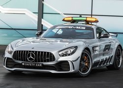 Mercedes-AMG GT R, Safety Car, 2018