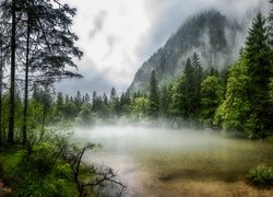 Góry, Jezioro Koppenwinkellacke, Ścieżka, Drzewa, Mgła, Obertraun, Austria