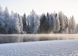 Zima, Rzeka, Drzewa, Poranek, Mgła