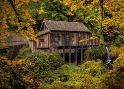 Jesień, Młyn Cedar Creek Grist Mill, Rzeka, Drzewa, Las, Woodland, Stan Waszyngton, Stany Zjednoczone