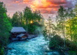 Las, Zielone, Drzewa, Rzeka, Młyn Myllykoski, Park Narodowy Oulanka, Gmina Kuusamo, Laponia, Finlandia