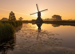 Wiatrak, Młyn Oudendijkse Molen, Rzeka Giessen, Kanał, Lilie wodne, Wschód słońca, Overslingeland, Holandia