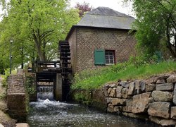 Młyn wodny, Kanał, Drzewa, Wieś Baarlo, Holandia