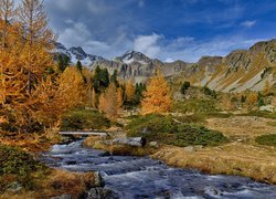 Jesień, Góry, Rzeka, Drzewa, Modrzewie, Dolina, Valle di Campo, Kanton Gryzonia, Szwajcaria