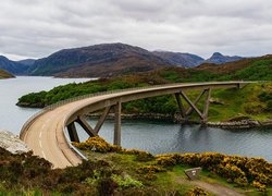 Szkocja, Region Highlands, Jezioro Loch a Chairn Bhain, Most Kylesku Bridge, Wzgórza, Krzewy, Roślinność