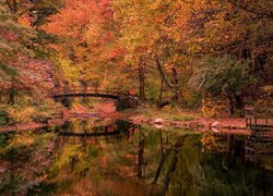 Most na rzece w jesiennym parku Stan Hywet Hall and Gardens