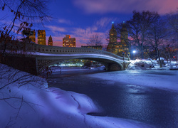 Most nad oblodzoną rzeką w nowojorskim Central Parku nocą