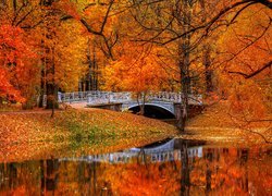 Most nad rzeczką w jesiennym parku
