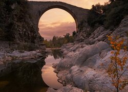 Rzeka, Most, Pont de Llierca, Skały, Drzewo, Hiszpania