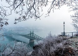 Most Wolności, Rzeka Dunaj, Gałęzie, Latarnia, Zima, Budapeszt, Węgry