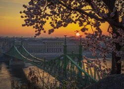 Budowle, Most Wolności, Budapeszt, Rzeka, Dunaj, Węgry, Wschód słońca, Drzewo