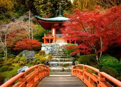 Mostek i jesienna roślinność obok świątyni Bentendo w Kioto