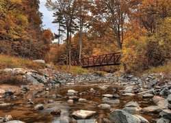 Mostek nad kamienistą rzeką w jesiennym lesie