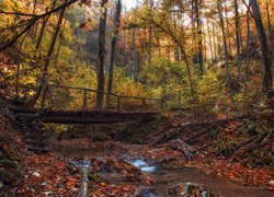 Mostek nad rzeczką w jesiennym lesie