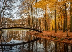 Mostek nad stawem w jesiennym parku w Holandii