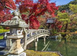 Staw, Mostek, Latarnia, Kolorowe, Drzewa, Ogród, Kioto, Japonia