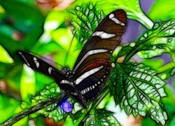 Motyl na zielonych liściach w grafice