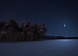 Nocny księżyc oświeca zaśnieżone pole i drzewa