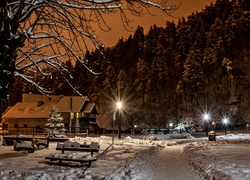 Nocny widok na dom, latarnie i ławki w zimowej szacie