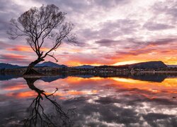 Odbicie drzewa i chmur w jeziorze o zachodzie słońca