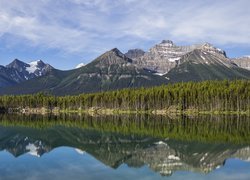 Góry, Jezioro, Herbert Lake, Drzewa, Odbicie, Alberta, Kanada