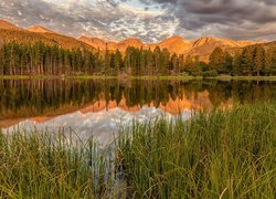 Stany Zjednoczone, Kolorado, Park Narodowy Gór Skalistych, Jezioro, Spraque Lake, Drzewa, Wschód słońca