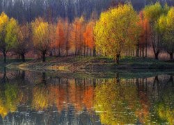 Odbicie jesiennych drzew w wodzie