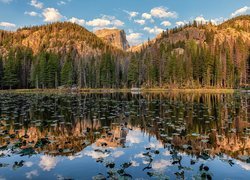 Góry, Jezioro, Nymph Lake, Drzewa, Park Narodowy Gór Skalistych, Odbicie, Kolorado, Stany Zjednoczone