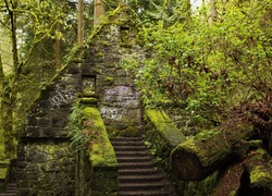 Omszałe kamienne schody w parku miejskim Forest Park w Portland