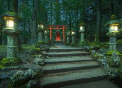 Świątynia, Chram, Brama tori, Schody, Omszałe, Latarnie, Nara, Japonia