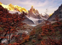 Góry, Ośnieżone, Jesień, Drzewa, Argentyna, Patagonia, Góra Fitz Roy, Park Narodowy Los Glaciares
