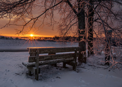 Ośnieżona ławka pod drzewem w zimowej scenerii o zachodzie słońca