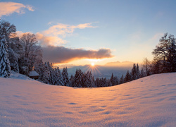 Ośnieżona zimowa polana z widokiem na domek i las w blasku słońca