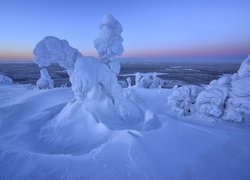  Zima, Drzewa, Mgła, Wschód słońca, Wzgórze, Rezerwat Valtavaara, Laponia, Finlandia