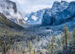 Zima, Góry, Drzewa, Formacja skalna, El Capitan, Park Narodowy Yosemite, Kalifornia, Stany Zjednoczone