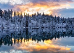 Jezioro, Las, Drzewa, Zima, Wschód słońca, Chmury, Odbicie, Cresta Lake, Kanton Gryzonia, Szwajcaria